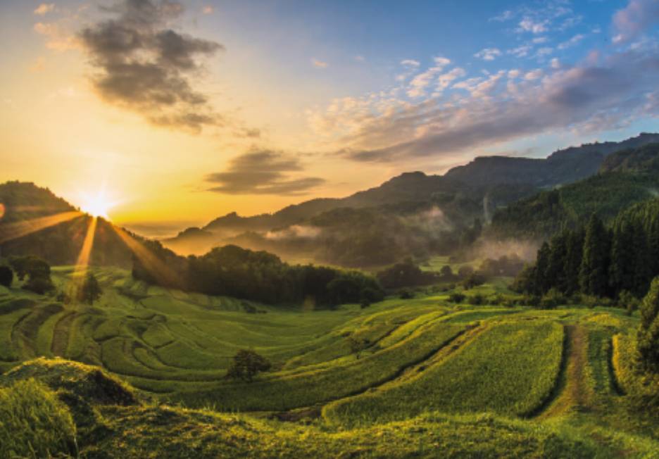 大山千枚田